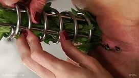 ترانسکی روی همه چهار ...