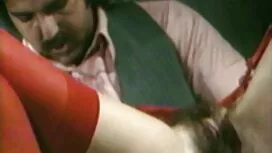 گربه بیدمشک یک سبزه  ...