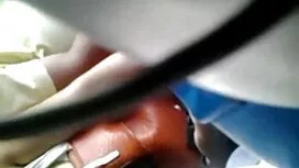 دمار از روزگارمان در ...