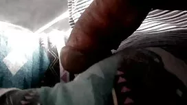 آبنوس با یک خروس چرب ...