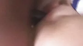 سبزه کاملیلا بلا عکس ...
