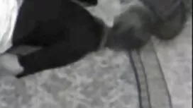 شماله با یک خروس بزر ...