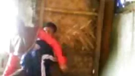سبزه بالغ اتومبیل عک ...
