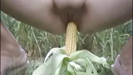 مو بور مناقصه کیرکوس ...
