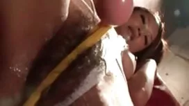 به ثمر رساندن جوجه د ...