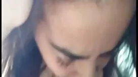 سبزه ناز خروس می خور ...
