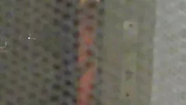 کیر بلوند بدن خود عك ...